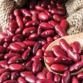 Lợi ích và tác hại của đậu đỏ đối với cơ thể con người