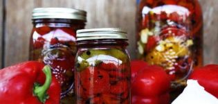 5 beste recepten voor het koken van paprika's in olie met knoflook voor de winter