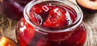 A simple recipe for juice from plums for the winter at home