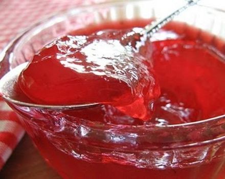 TOP 3 delicious recipes for cooking dogwood jelly for the winter