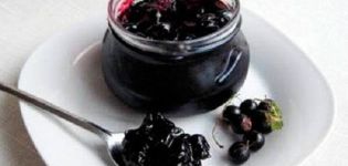 Recipe for red and black currant jam with banana for the winter