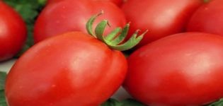 Fitous domates çeşidinin tanımı ve özellikleri
