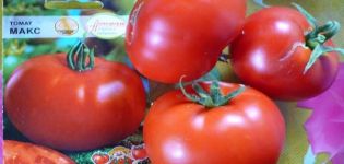 אילו זני עגבניות מגדלים בצורה הטובה ביותר באזור סמארה