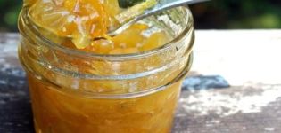 5 bedste opskrifter til fremstilling af zucchini-marmelade med tørrede abrikoser