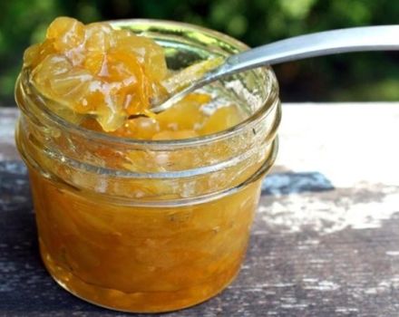 5 besten Rezepte für Zucchinimarmelade mit getrockneten Aprikosen