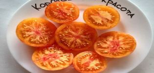 Descripción de la variedad de tomate Royal Beauty, sus características y productividad.