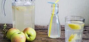 TOP 2 opskrifter til vinteren af ​​æble- og citronkompott