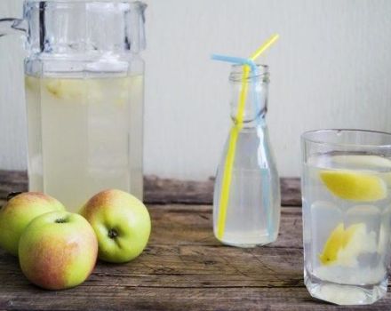 TOP 2 recipes for cooking apple and lemon compote for the winter