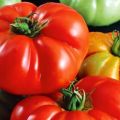Beschrijving van de variëteit rode buffel-tomaten, teeltkenmerken en opbrengst