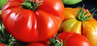 Beskrivning av den röda buffelens tomatsort, odlingsegenskaper och avkastning