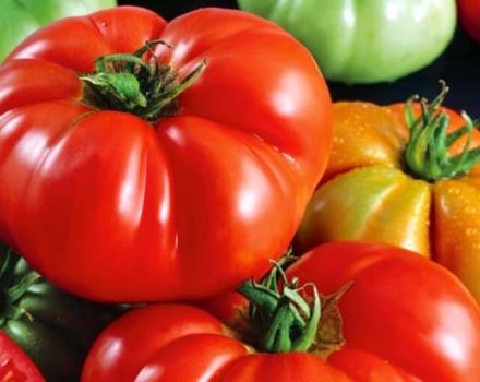 Raudonojo Buffalo pomidorų veislės aprašymas, auginimo ypatybės ir derlius