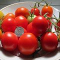 Características y descripción de la variedad de tomate Schelkovsky temprano.