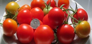 Características y descripción de la variedad de tomate Schelkovsky temprano.