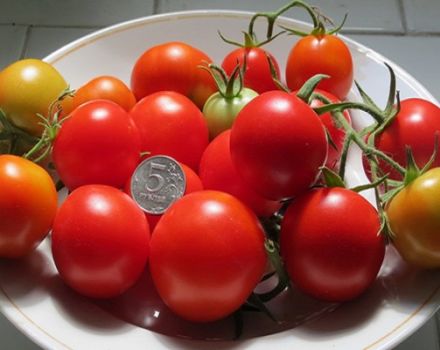 Đặc điểm và mô tả của giống cà chua Schelkovsky đầu