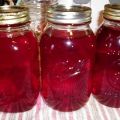 Μια απλή συνταγή για την παραγωγή κομπόστα lingonberry για το χειμώνα