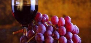 Den bedste opskrift på at fremstille vin fra Taifi-druer derhjemme