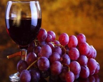 Das beste Rezept für die Herstellung von Wein aus Taifi-Trauben zu Hause