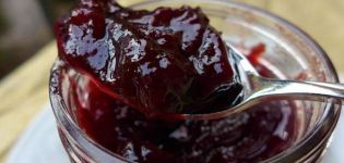 A simple recipe for making apple and plum jam for the winter