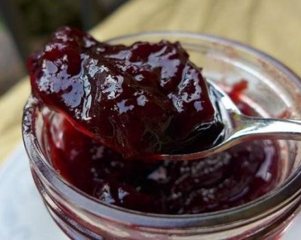 A simple recipe for making apple and plum jam for the winter