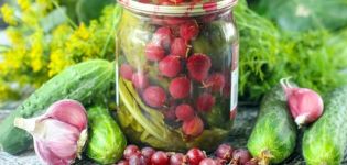 The recipe for pickled cucumbers with gooseberries for the winter without vinegar