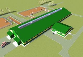 Project of a cowshed for 100 heads and drawings for building a farm with your own hands