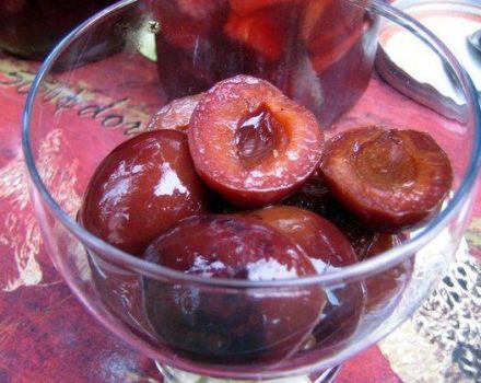 8 masarap na mga recipe para sa paggawa ng nababad na mga plum para sa taglamig sa bahay
