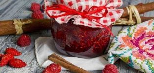 TOP 2 Rezepte für die Zubereitung von Erdbeer- und Himbeermarmelade für den Winter