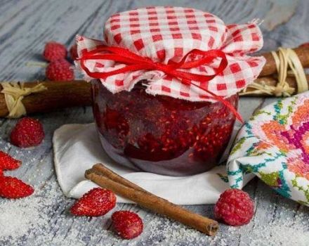 TOP 2 recepten voor het maken van aardbeien- en frambozenjam voor de winter