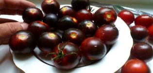 Caracteristicile și descrierea soiului de roșii negre Cherry, randament