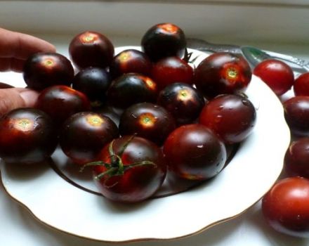 Característiques i descripció de la varietat de tomàquet cherry negre