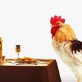Umso besser, Hühner zu Hause zu füttern, damit sie viel tragen