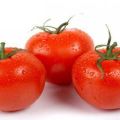 Characteristics and description of the tomato variety A gardener's dream, its yield