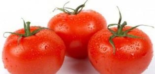 Characteristics and description of the tomato variety A gardener's dream, its yield