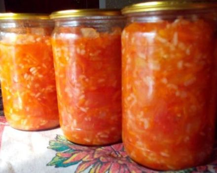11 najlepších podrobných receptov na výrobu paradajkového občerstvenia na zimu