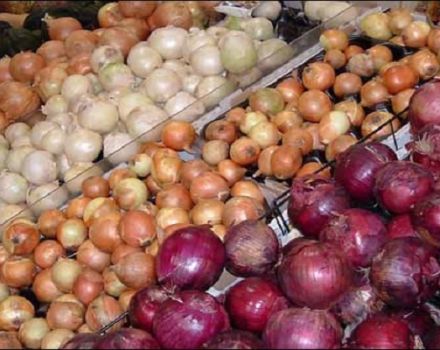 What types of onion varieties are there, their names and descriptions