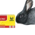 Instructions pour l'utilisation de Solikox pour les lapins, forme de libération et analogues