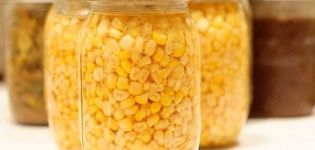 كيفية حفظ الذرة على الكوز والحبوب في المنزل لفصل الشتاء ، وصفات مع وبدون تعقيم