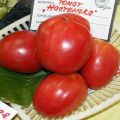Karakteristike i opis sorte rajčice Nastenka, njen prinos