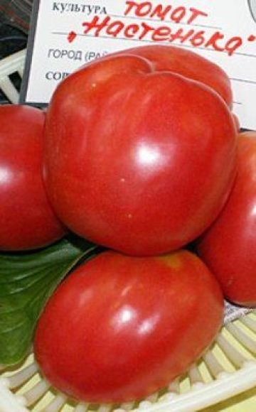 Characteristics and description of the tomato variety Nastenka, its yield