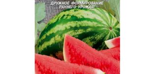 Beschrijving van de variëteit van watermeloen Foton, kenmerken en subtiliteiten van de teelt, opbrengst