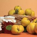 15 pinaka-masarap na mga recipe para sa paggawa ng Japanese quince para sa taglamig