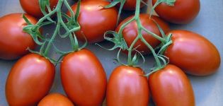 Egenskaper och beskrivning av tomatsorten Roma, dess utbyte