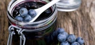 TOP 4 recipes for making blueberry jam in a slow cooker