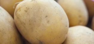 Descripció de la varietat de patates Meteor, característiques del cultiu i cura