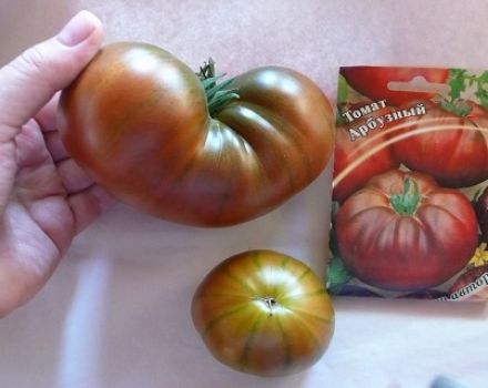 Tomaattilajikkeen Vesimeloni ominaisuudet ja kuvaus, sen sato