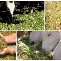 Tipos de pienso y valor nutricional del ganado, formulación de la dieta
