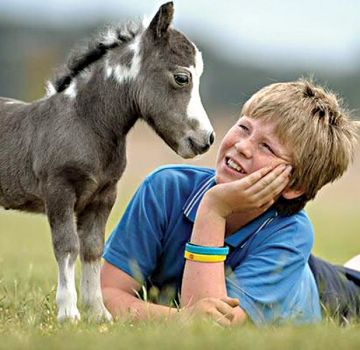 תיאור גזעי מיני-סוסים וכללי טיפול, האנשים הקטנים ביותר בעולם