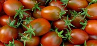 Descrizione della varietà di pomodoro Imperatore, caratteristiche di coltivazione e cura