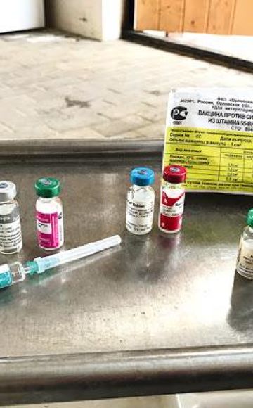 Ohjeet hevosten rinopneumonia -rokotetta varten ja sen koostumus