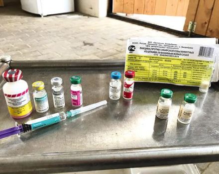 Pokyny pro očkování proti rinopneumonii u koní a její složení